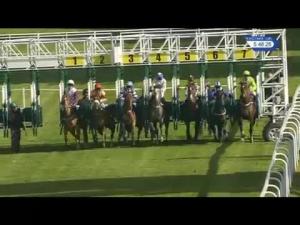 Video preview image for Hamilton Park 17:45 - Irish Stallion Farms EBF Novice Stakes (Plus 10)