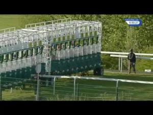 Video preview image for Hamilton Park 18:50 - Racing Together Handicap