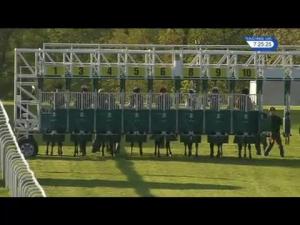 Video preview image for Hamilton Park 19:25 - Route 74 Truckstop Braveheart Handicap