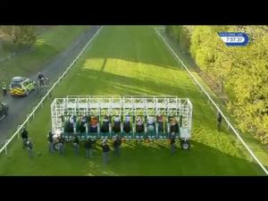 Video preview image for Hamilton Park 19:55 - Wheelers Diner William Wallace Handicap