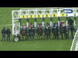 Video preview image for Hamilton Park 21:00 - Mcgrattan Piling & Supplies Handicap