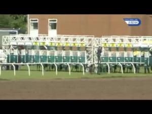Video preview image for Thirsk 14:50 - Marion Gibson Brown Memorial Handicap (Div 1)