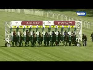 Video preview image for Newbury 15:20 - Toronado Carnarvon Stakes (Listed)