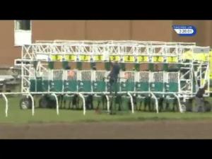 Video preview image for Thirsk 15:25 - Marion Gibson Brown Memorial Handicap (Div 2)