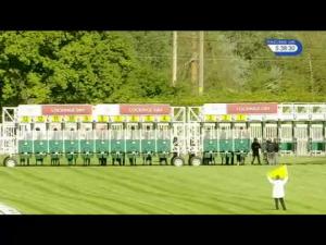Video preview image for Newbury 17:35 - Planteur Handicap (Str)