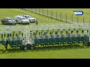 Video preview image for Redcar 13:50 - Congratulations On Promotion Middlesbrough Fc Utb Novice Median Auction Stakes