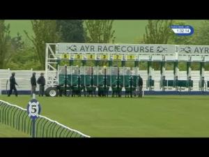 Video preview image for Ayr 13:30 - EBF Stallions Famous Grouse Novice Stakes (Plus 10)