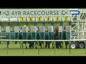 Video preview image for Ayr 15:10 - Ciroc Handicap