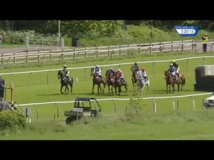 Video preview image for Warwick 15:20 - Askews Handicap Chase