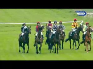 Video preview image for Warwick 16:30 - Wigley Group Handicap Chase