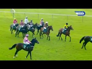 Video preview image for Warwick 17:35 - Ardencote Golf Intermediate Open NH Flat Race