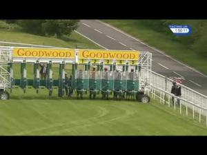 Video preview image for Goodwood 13:50 - Njs Group EBF Novice Stakes (Plus 10)