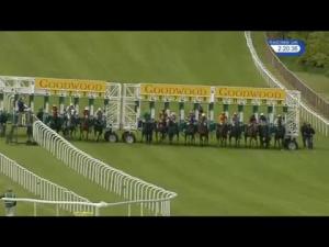 Video preview image for Goodwood 14:20 - winnerevents.com Handicap