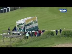 Video preview image for Goodwood 15:30 - Wright Joinery Company Handicap