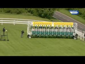 Video preview image for Goodwood 17:05 - Southern Cranes Apprentice Handicap