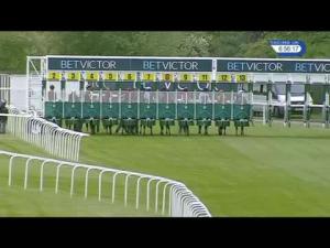 Video preview image for Sandown Park 18:55 - BetVictor Million Pound Goal Handicap