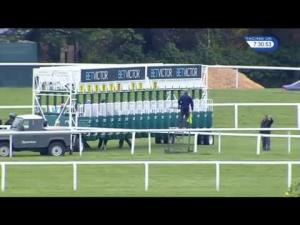 Video preview image for Sandown Park 19:30 - John Sunley Memorial Handicap