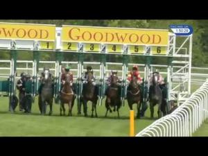 Video preview image for Goodwood 13:50 - Spitfire Novice Auction Stakes