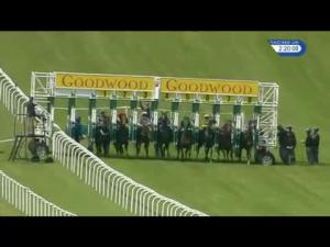 Video preview image for Goodwood 14:20 - Chateau La Gordonne Stakes (Handicap)