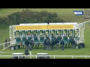 Video preview image for Goodwood 16:00 - EBF Breeders' Series Fillies' Handicap
