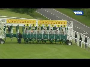 Video preview image for Goodwood 16:35 - Lewin Down Stakes (Handicap)