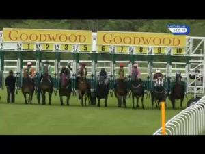 Video preview image for Goodwood 17:05 - Three Friday Nights Stakes (Handicap)