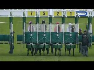 Video preview image for Catterick Bridge 20:10 - Leslie Petch Fillies' Handicap (2016 Catterick Twelve Furlong Series Qualifier)