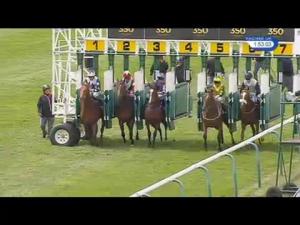Video preview image for Newmarket 13:50 - Andrew Fleet EBF Stallions Novice Stakes (Plus 10)