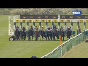 Video preview image for Newmarket 14:20 - Westmere Farms Handicap
