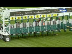 Video preview image for Haydock Park 14:30 - Gpw Recruitment Handicap