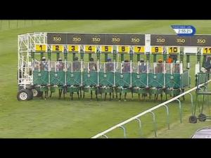 Video preview image for Newmarket 14:55 - Fred Murfitt Handicap