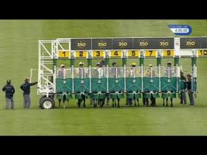 Video preview image for Newmarket 16:05 - Galicuix Handicap
