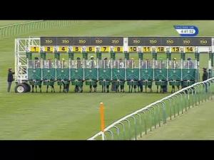 Video preview image for Newmarket 16:40 - C J Murfitt Ltd Maiden Fillies' Stakes (Plus 10)
