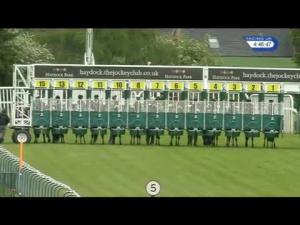 Video preview image for Haydock Park 16:45 - Walsh Ibs Handicap
