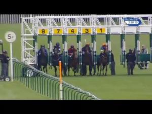 Video preview image for Nottingham 14:20 - British Stallion Studs EBF Novice Stakes
