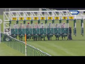 Video preview image for Nottingham 16:00 - Odds On Favourite Dg Taxis 01159500500 Handicap