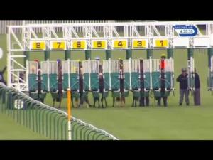 Video preview image for Nottingham 16:35 - Josh 'Banger' Garrett 21 Today Handicap