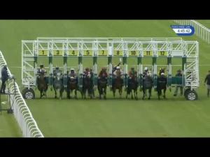 Video preview image for Hamilton Park 16:45 - Roa/Racing Post Owners Jackpot Handicap
