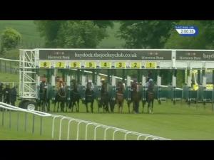 Video preview image for Haydock Park 14:00 - George Formby's Birthday Novice Auction Stakes (Plus 10)