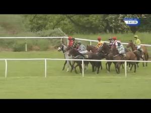 Video preview image for Bangor-On-Dee 15:40 - Stella Artois Handicap Hurdle