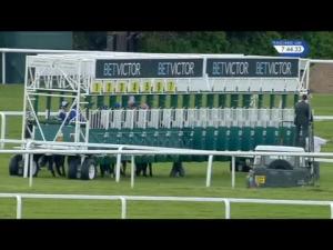 Video preview image for Sandown Park 19:40 - BetVictor Brigadier Gerard Stakes (Group 3)