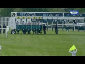 Video preview image for Sandown Park 20:15 - Heron Stakes (Listed)