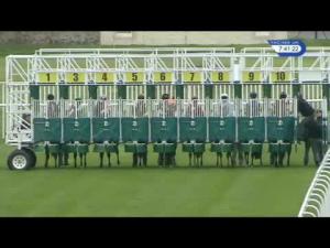 Video preview image for Musselburgh 19:40 - Belmont Wallyford Handicap