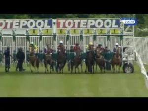 Video preview image for Catterick Bridge 14:20 - Scoop6 It's A Rollover Novice Median Auction Stakes