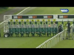 Video preview image for Haydock Park 15:10 - Timeform Jury Stakes (Registered As The John Of Gaunt Stakes) (Group 3)