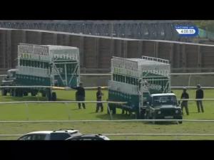 Video preview image for Catterick Bridge 16:05 - Scoop6 Three Ways To Win Handicap