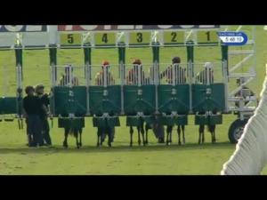 Video preview image for Catterick Bridge 17:45 - Totepool Like Us On Facebook Median Auction Maiden Fillies' Stakes