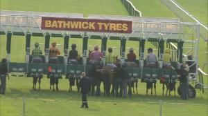 Video preview image for Salisbury 17:50 - Irish Stallion Farms Bathwick Tyres EBF Novice Stakes (Plus 10)