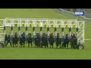 Video preview image for Redcar 12:45 - racinguk.com Novice Auction Stakes