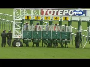 Video preview image for Nottingham 16:30 - Toteswinger Three Ways To Win Handicap